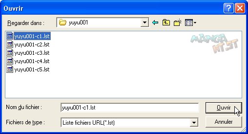 FlashGet - Sélection d'une liste de téléchargement